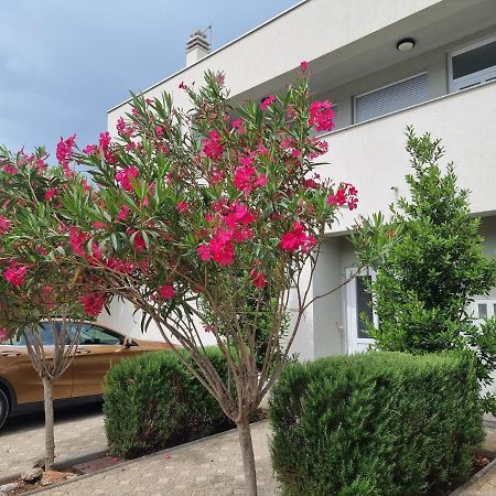 Apartmani Jozic Seline Luaran gambar